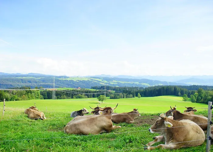 Apartamento Relax - Appartements Allgaeu I Berge I Familien I Paare I Business I Wellness I Wlan I Parkplatz